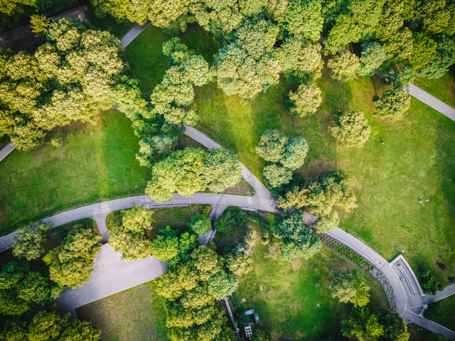 Sustainability - drone view of park