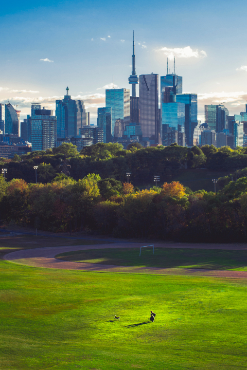 view of park with city in background